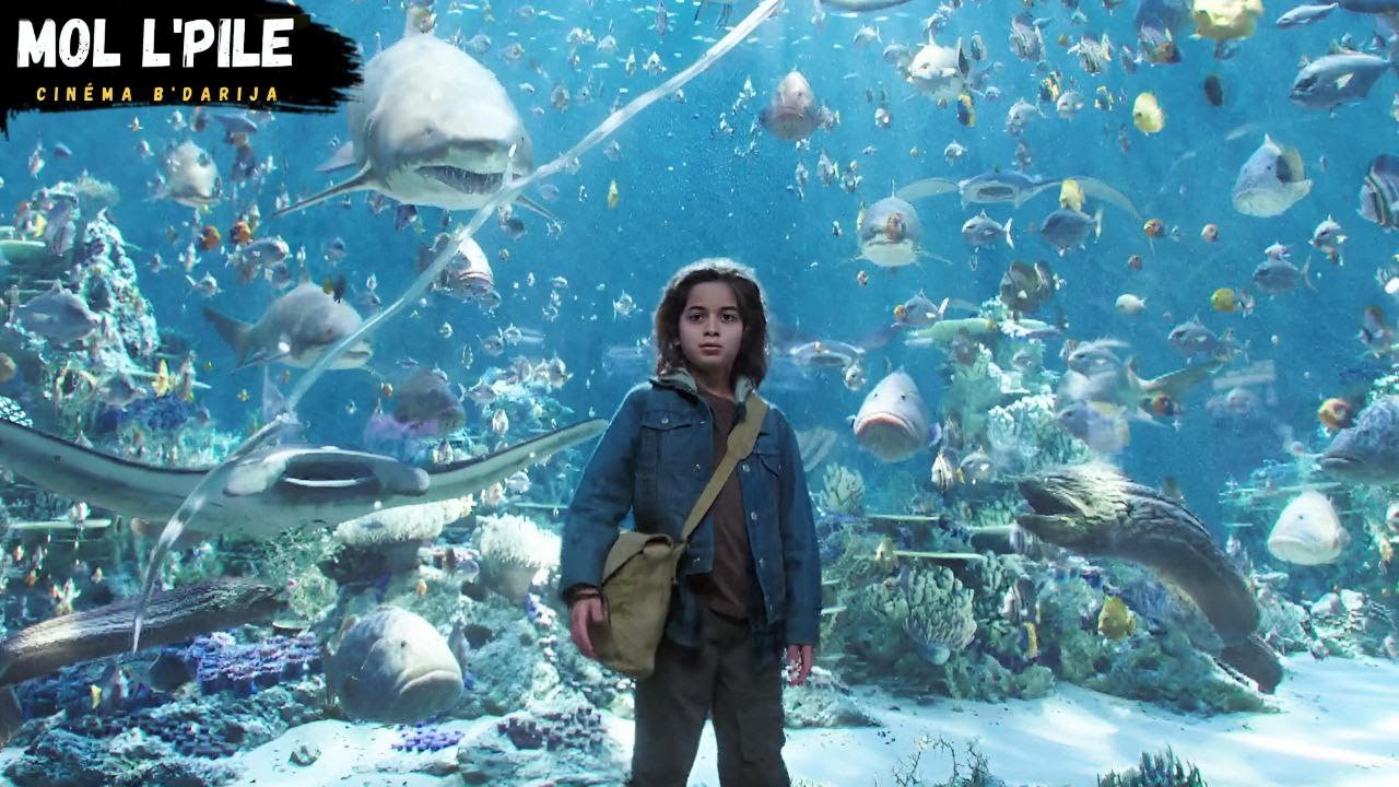 ولد يكتشف أنه ملك مملكة أطلانتس🔱يستطيع التنفس تحت الماء والتحكم في جميع الكائنات البحرية😦||🎦 𝐀𝐪𝐮𝐚𝐦𝐚𝐧