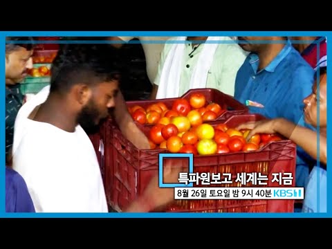 특파원보고 세계는 지금 예고 (KBS_323회_2023.08.26.방송 예고) 토요일 밤 09:40 KBS 1TV 방송