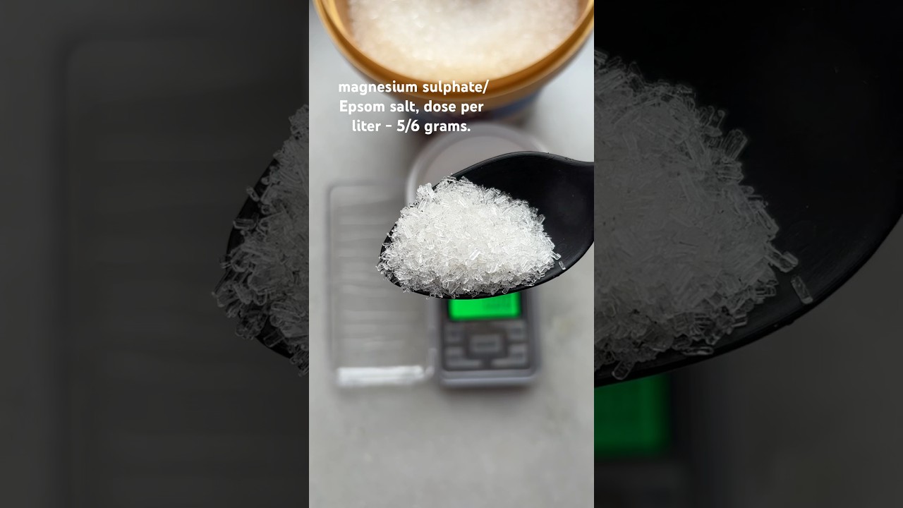 Spray Epsom Salt on Your Plants and See the magic Greener Leaves, Faster Growth, Healthier Harvest!