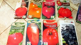 Обзор семян на 2019 год. Какие сорта овощных культур понравились. Обзор семян на 2019 год. Какие сорта овощных культур понравились.