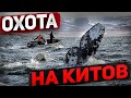 Охота на китов \ Гарпун \ Разговор с ученым \  Пробую мясо кита \ Косторезы \   #3