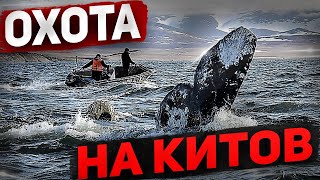 Охота на китов \\ Гарпун \\ Разговор с ученым \\  Пробую мясо кита \\ Косторезы \\   #3