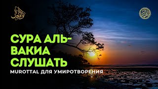 СУРА АЛЬ-ВАКИА СЛУШАТЬ  - Murottal для умиротворения