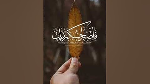 ماتيسر من القران الكريم........... الشيخ وائل السعيد