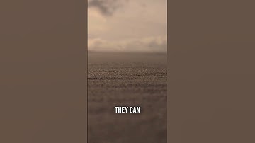 Mars Has Huge Dust Storms That Can Cover the Whole Planet #shorts #shortvideo #shortsfeed #space