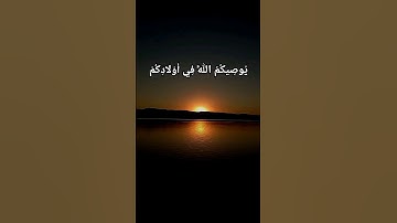 يُوصِيكُمُ اللَّهُ فِي أَوْلادِكُمْ / سورة النساء #القران_الكريم #ياسر_الدوسري #سورة #اذكار