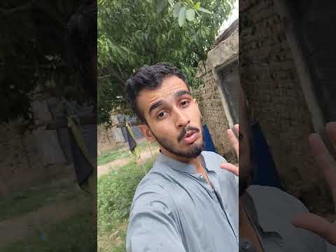 Teetar ke Bachy ko kia ho geya 😢