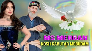 Кош Кабутар Мебудам 😇 Мс Мерган / Kosh Kabutar Mebudam Ms Mergan/ Хит Трек 2026 Resimi