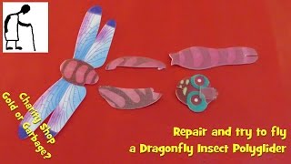 Repair and try to fly a Dragonfly Insect Polyglider