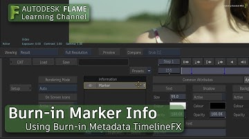 Burn-in Marker Info - Flame 2018.1 Update