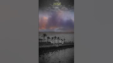تلاوة خاشعة تريح القلب#قرآن #قران_كريم #explore