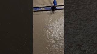 Watch this concrete turn perfectly smooth #renovation #satisfying #home #construction #concrete