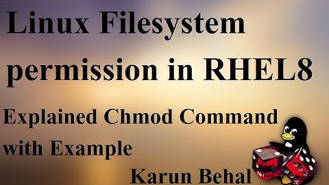 Linux Filesystem Permissions in RHEL 8 | Explained Chmod command By Karun Behal