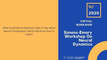 What Could Neural Dynamics Have to Say About Neural Computation and Do We Know How to Listen?