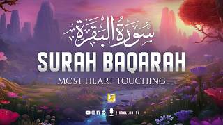 Surah Al-Baqarah Full (سورة البقرة) | Ultimate Most Heart Touching Quran Recitation | Zikrullah TV