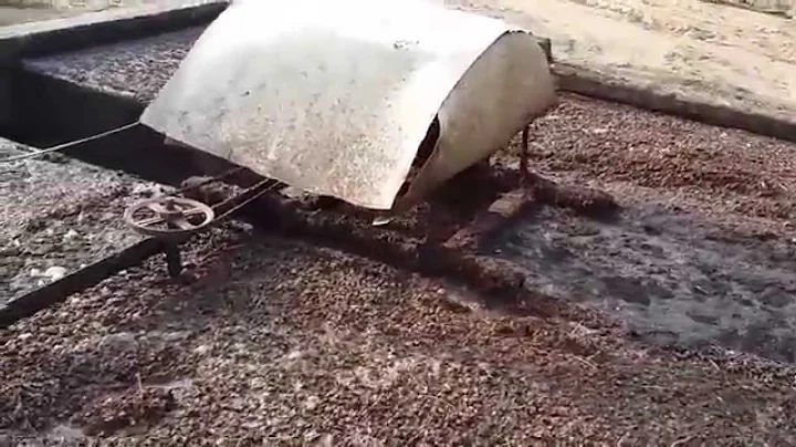 Environment Control Layer Poultry Farm running on 50 KW Biogas Generator and 250 m3 Biogas Plant