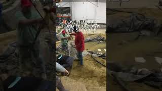 Pond Training Box Tear Down