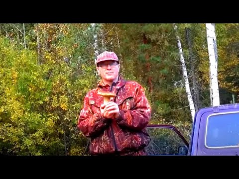 ЗАЧЁТНЫЙ ЗАЯЦ ! РГ ч.п/ч Сигнал ( Плакуня ) и Говоруша вл.Шатров В.А.