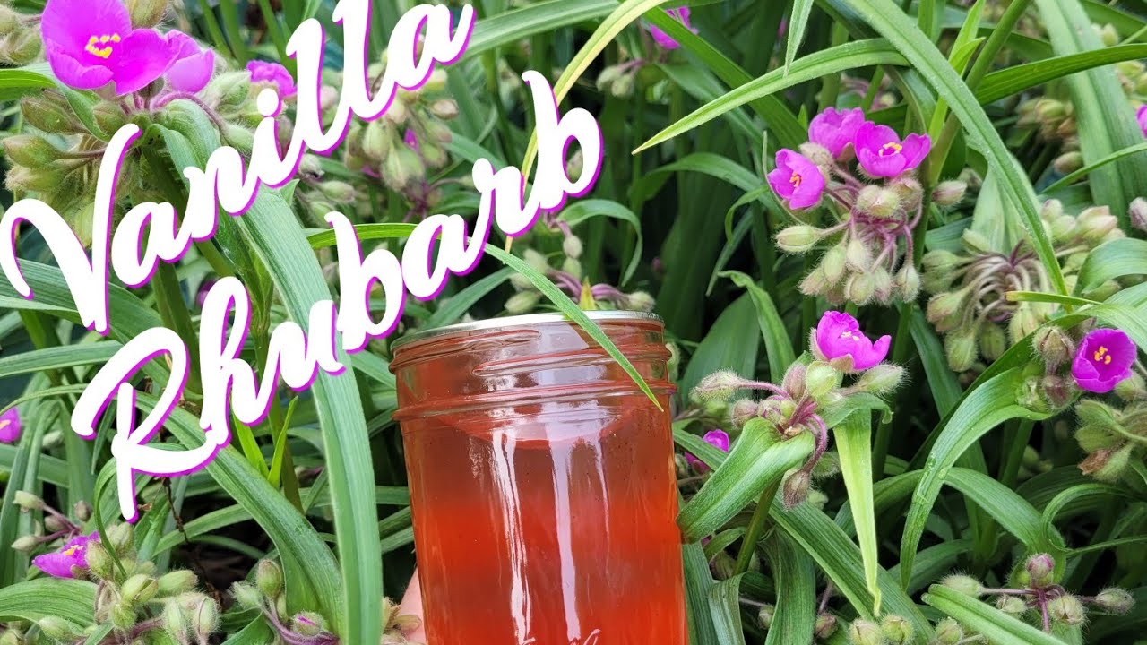 Vanilla Rhubarb Jelly Waterbath Steam Canning Tutorial YouTube
