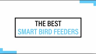 The Best Smart Bird Feeders