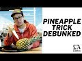 Lucas peterson debunks the pineapple pullapart hack