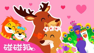 qing jia gei wo ba will you marry me gu shi dong wu tong