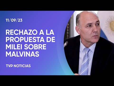 "Milei quiere imponer los deseos de 3.000 isleños de Malvinas sobre 46 millones de argentinos"