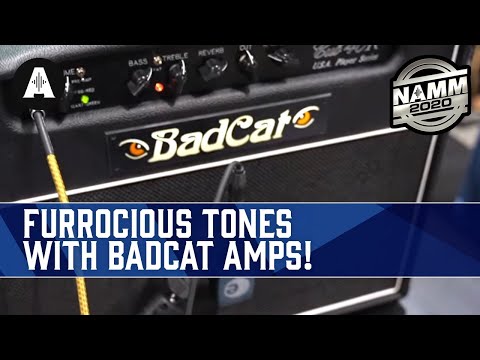 furrocious-tones-with-bad-cat-amps,-coming-soon!---namm-2020