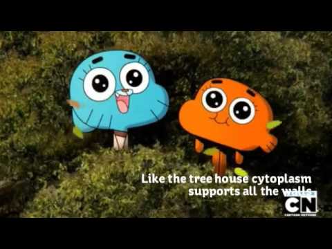 cytoplasm analogy