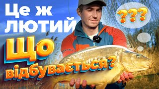 видео: Друге відкриття коропового сезону 2024! картинка: Друге відкриття коропового сезону 2024!