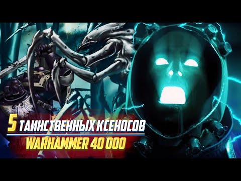 Видео: 5 Таинственных Рас Ксеносов в Warhammer 40000