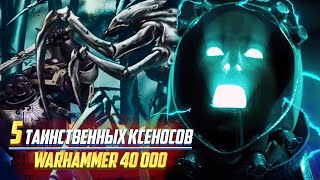 5 Таинственных Рас Ксеносов в Warhammer 40000