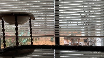 بلال رمان ما تيسر من القرآن الكريم سورة الفاتحه وايات من سورة الكهف. Bilal Romman “Surat Al kahf”