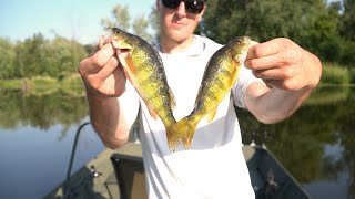 Fishing the Mississippi River Backwaters for Perch