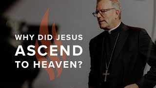Why Did Jesus Ascend to Heaven?  Bishop Barron's Sunday Sermon