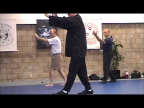 Shifu John Painter Jiulong Seminar