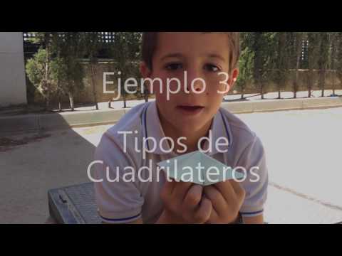 Organizadores de Origami o esquemas de papiroflexia