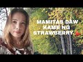 MAMITAS DAW KAME NG STRAWBERRY.with ALEXA D.vlog from Switzerland