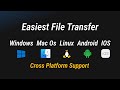 Cross Platform File Sharing Made Easy | Local Send Tutorial