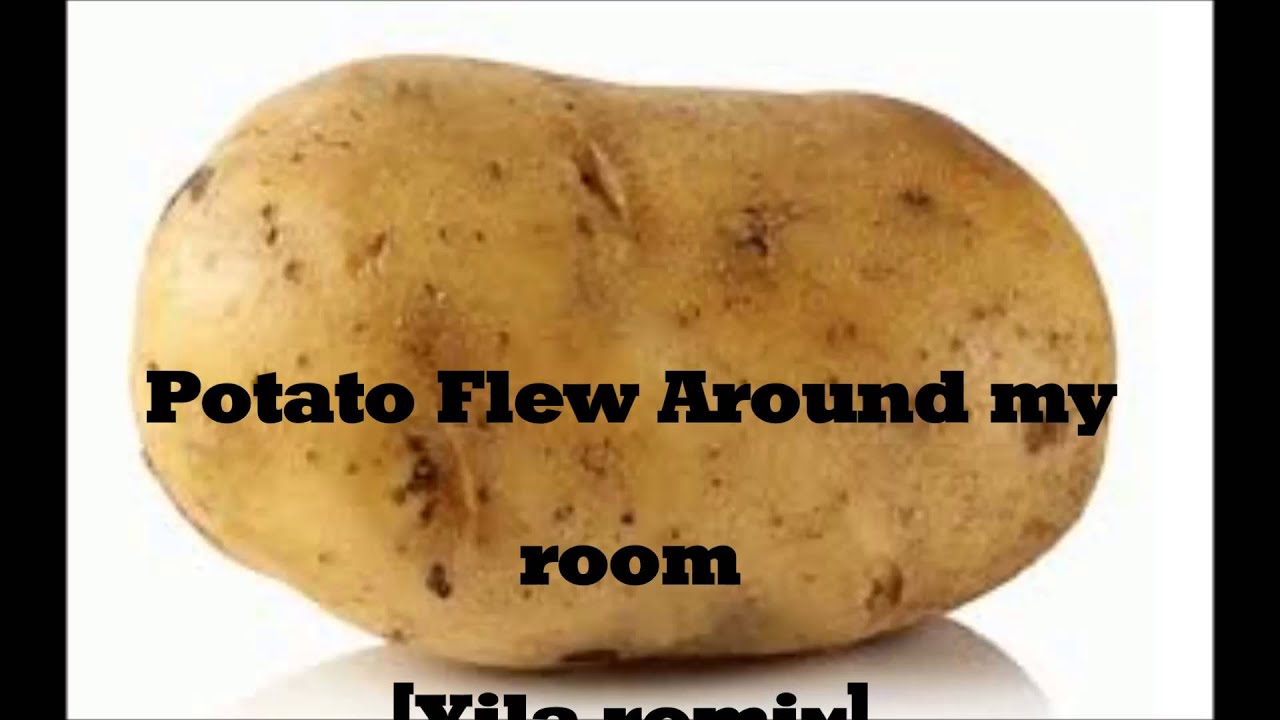 [Brutal Dubstep] A potato flew around my room [Xila remix] YouTube