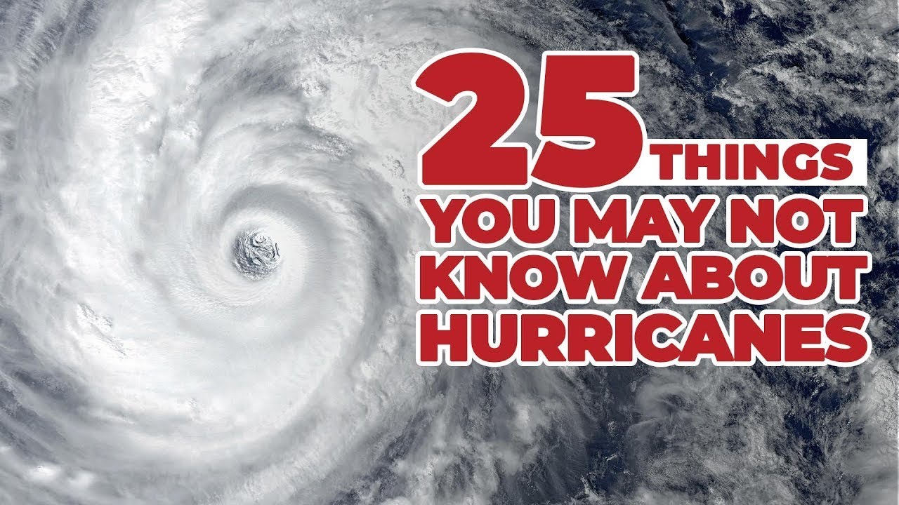 25 Hilarious Hurricane Memes You Need To See - 21