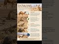 Life Finds a Way in the Desert