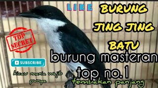 Download Lagu burung jingjing batu tembakan pedes cocok buat masteran review MP3