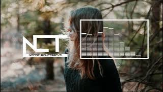 N3WPORT - Don't Blame Me (Lyrics) feat. Gracie Van Brunt