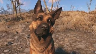 Паша Today #17. Тёплые, ламповые щенята (08.01.2016) Паша Today #17. Тёплые, ламповые щенята (08.01.2016)