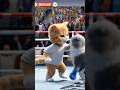 Cat win boxing match and buy a car #cartoon #animalcharacters #catman #boxing #car #catdaddy #badcat