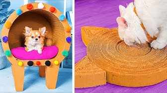 New Cardboard DIY Crafts Fun Projects for Furry Friends You