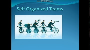 Software Project Management using Agile-----Self-Organised teams in Agile Scrum