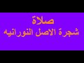 صلاة شجرة الاصل النورانيه محمد حجاب