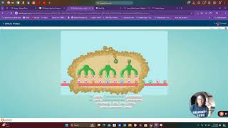Genes Codes for Proteins